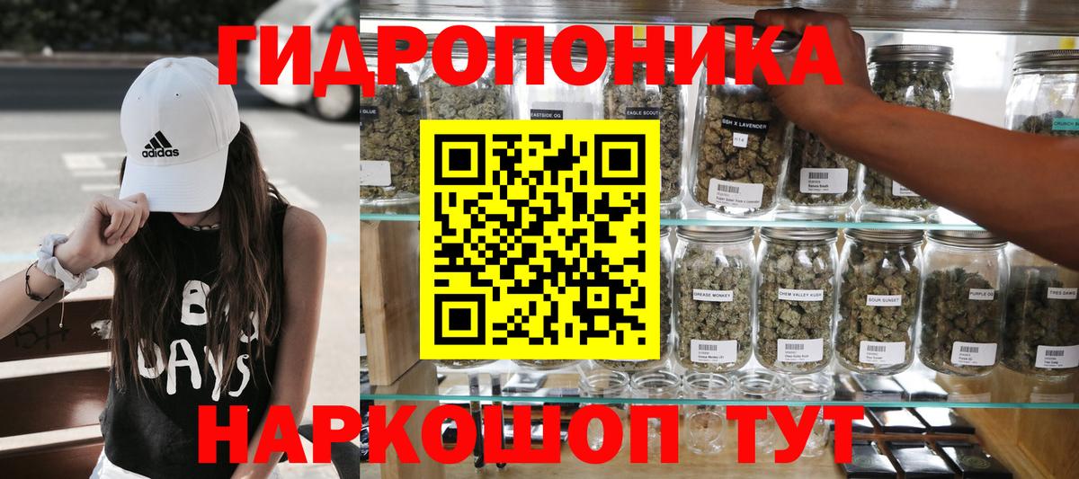 МАРИХУАНА семена  Каннабис индика  Тара  Вход с VPN 